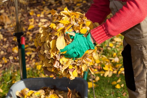Tools and equipment used for garden clearance